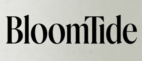 vanlinker sunglasses company